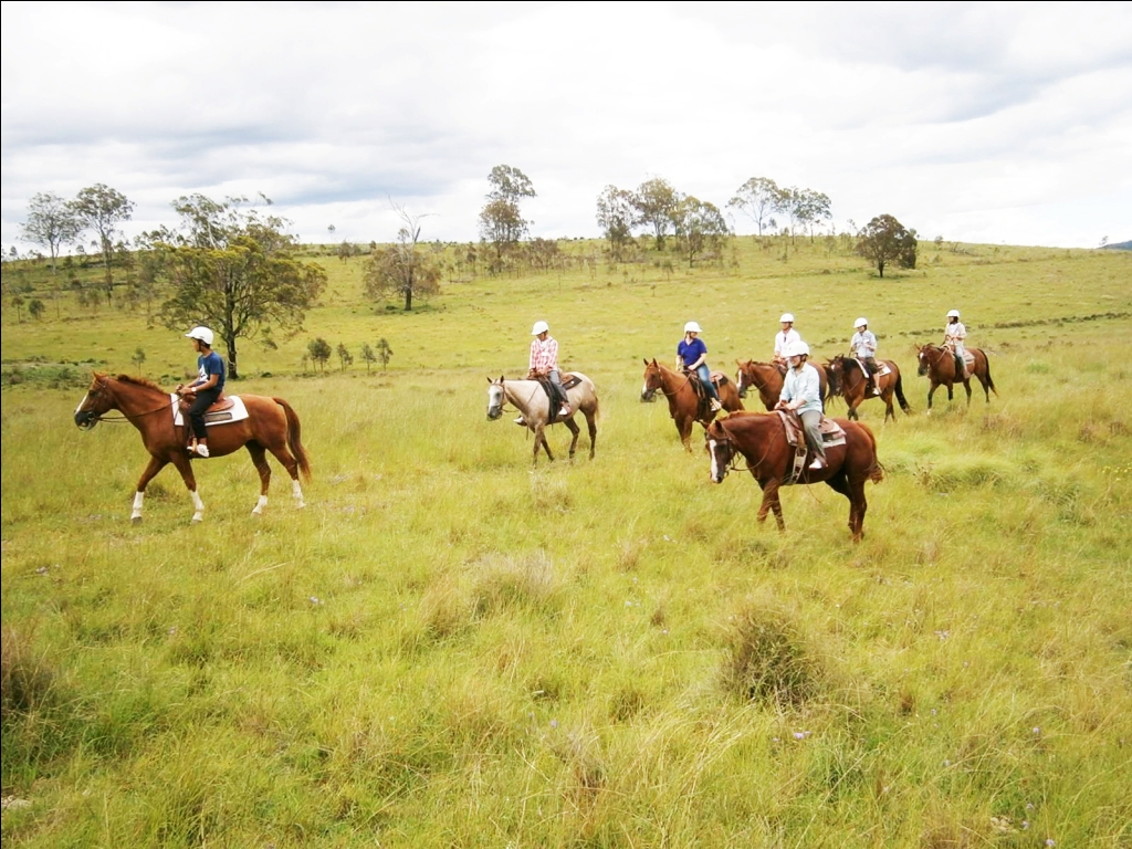 Cowboy Up Trail Rides