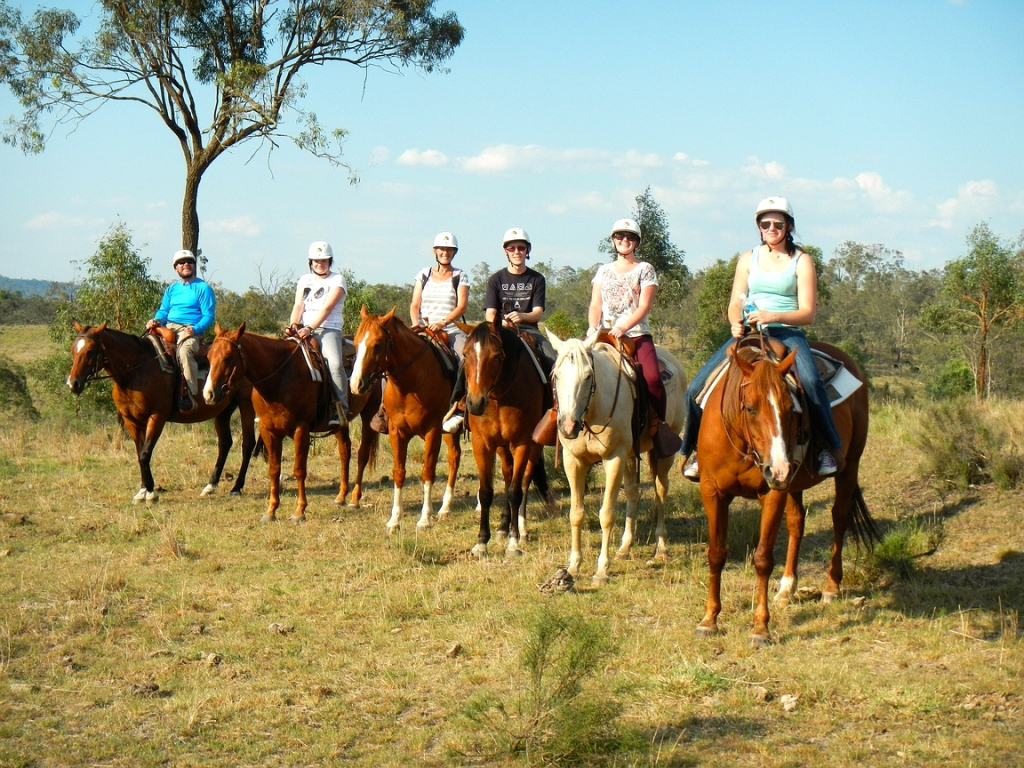 Cowboy Up Trail Rides