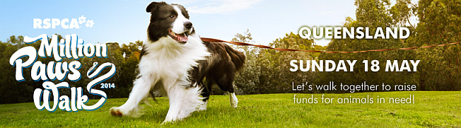 rspca-mpw-qld