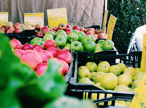 New Season apples from Stanthorpe Apples-2