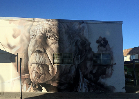 Guido van Helten Stanthorpe Mural